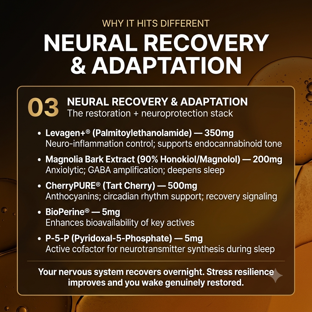 SOMNUS Neural Recovery — Levagen+ PEA 350mg, Magnolia Bark Extract 200mg, CherryPURE Tart Cherry 500mg, BioPerine 5mg, P-5-P 5mg